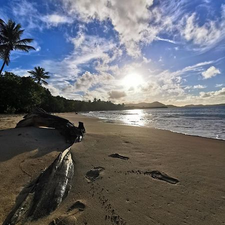 Ti'Bakoua A Sainte-Luce Plage Et Piscine Eksteriør billede
